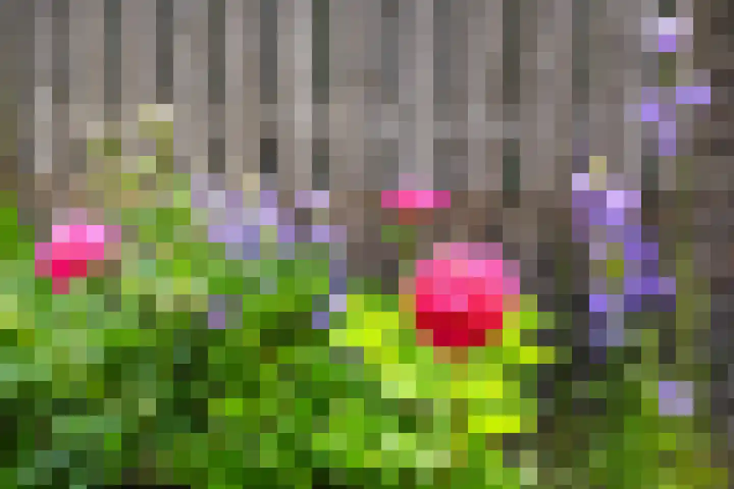 Ploeg 14 Berghem thumbnail 32