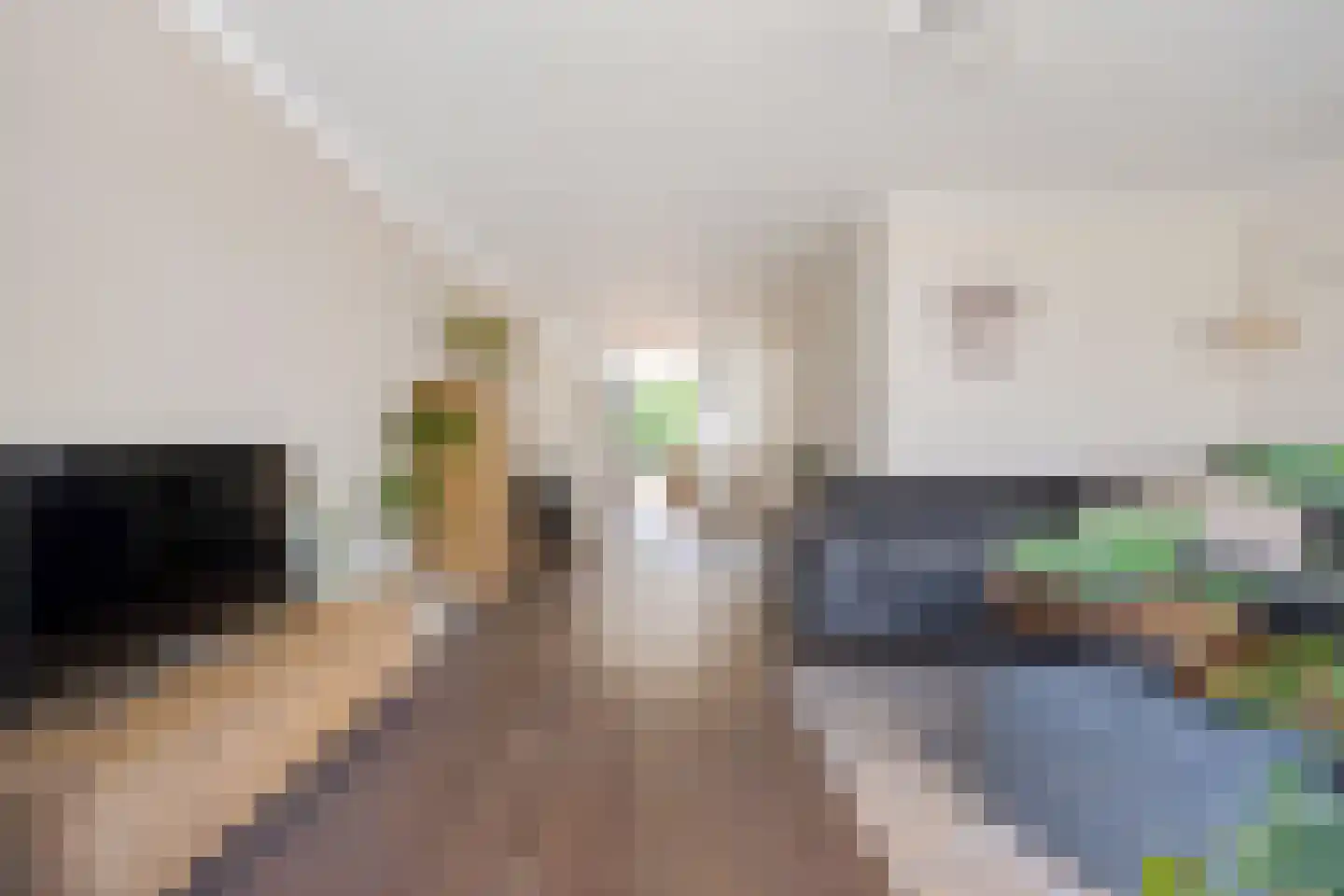 Ploeg 14 Berghem thumbnail 4