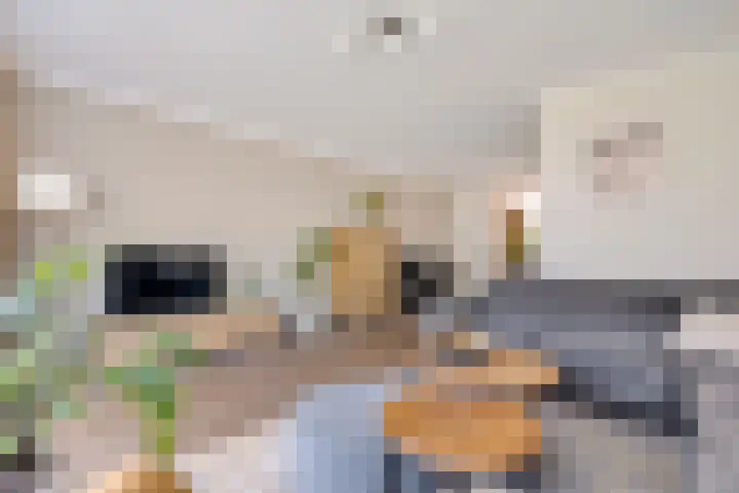 Ploeg 14 Berghem thumbnail 5