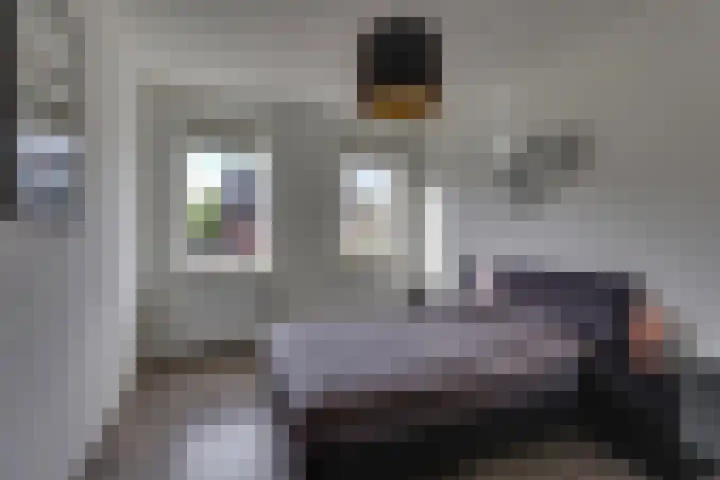 Ploeg 15 Holten thumbnail 18