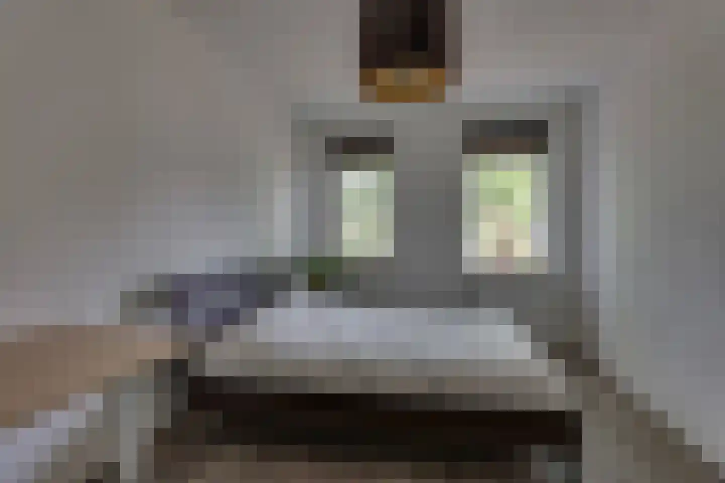 Ploeg 15 Holten thumbnail 20
