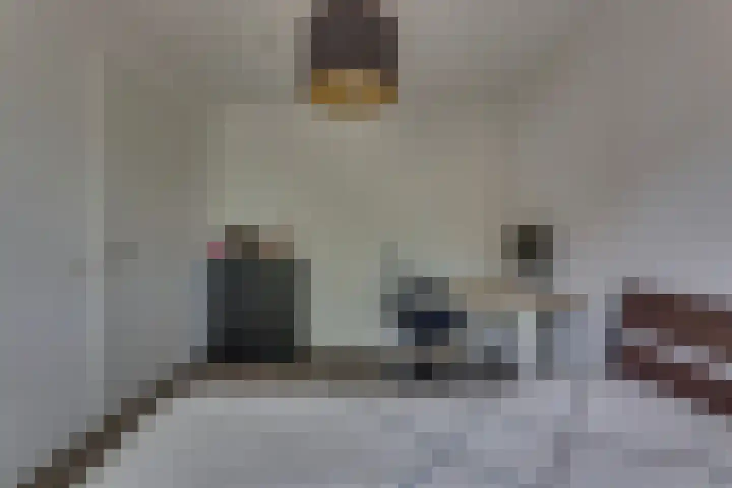Ploeg 15 Holten thumbnail 21