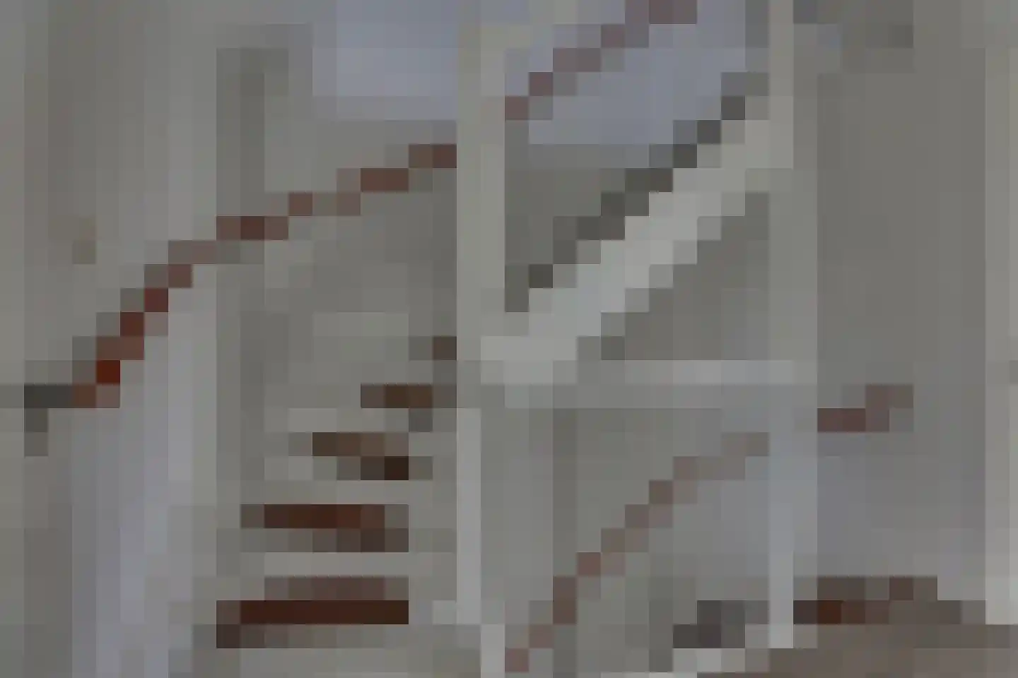 Ploeg 15 Holten thumbnail 24