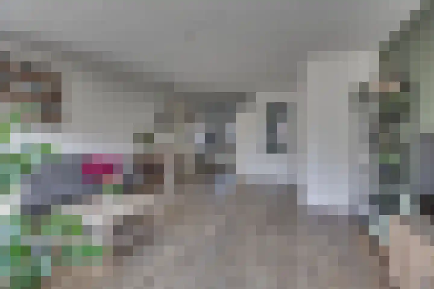 Ploeg 15 Holten thumbnail 6