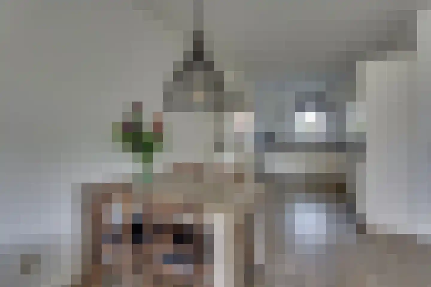 Ploeg 15 Holten thumbnail 8