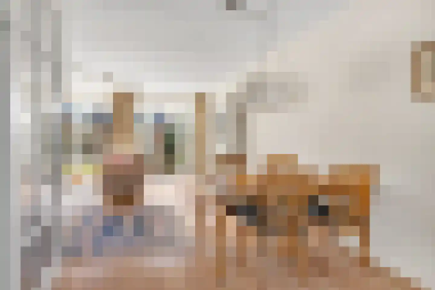 Ploeg 15 Voorthuizen thumbnail 13