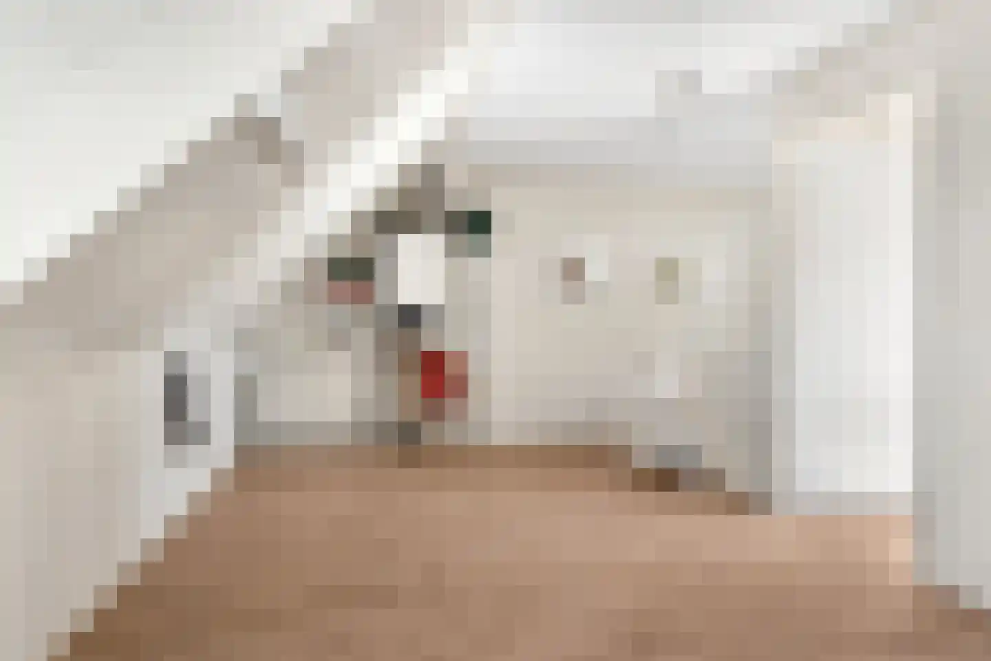 Ploeg 15 Voorthuizen thumbnail 22