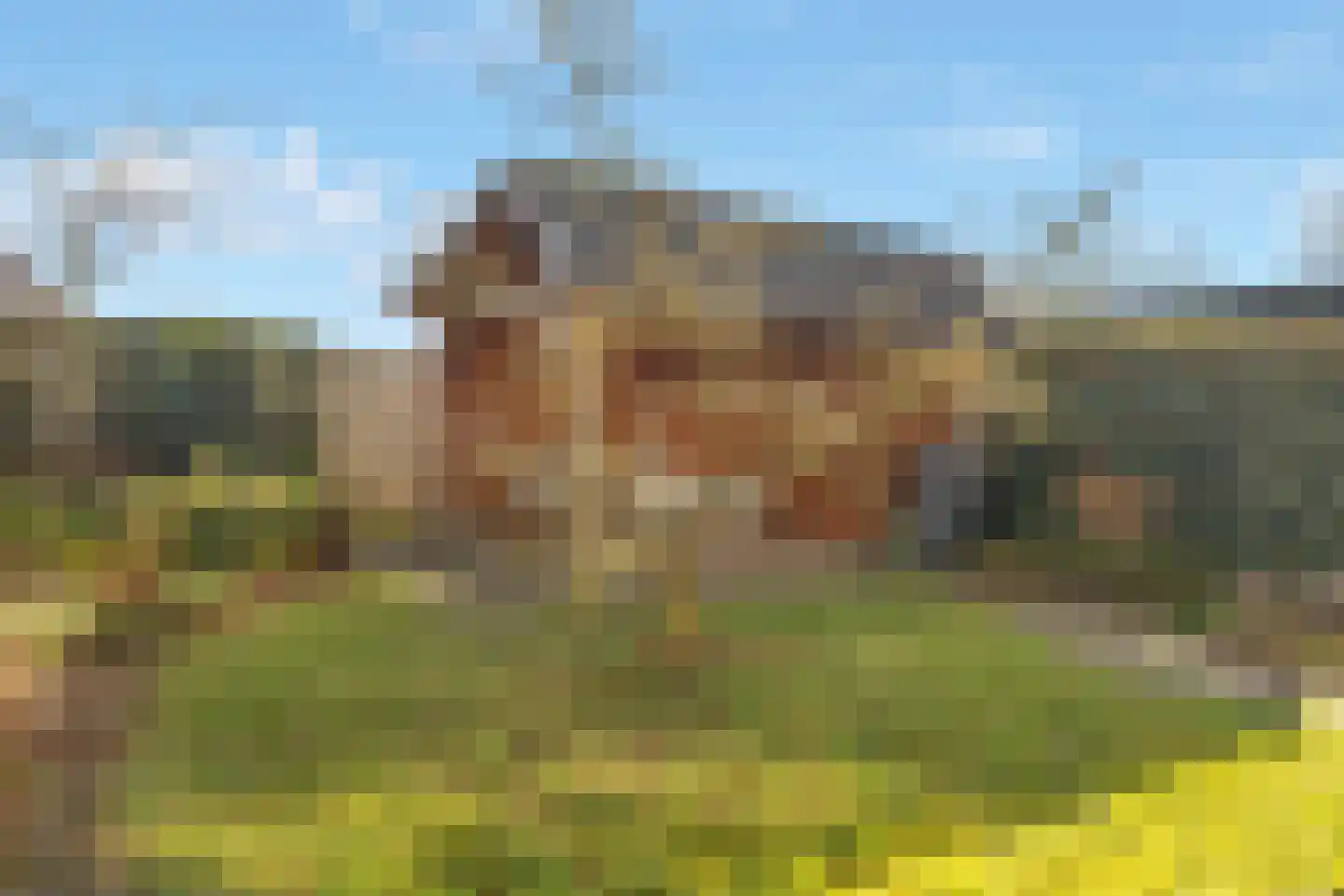 Ploeg 15 Voorthuizen thumbnail 30