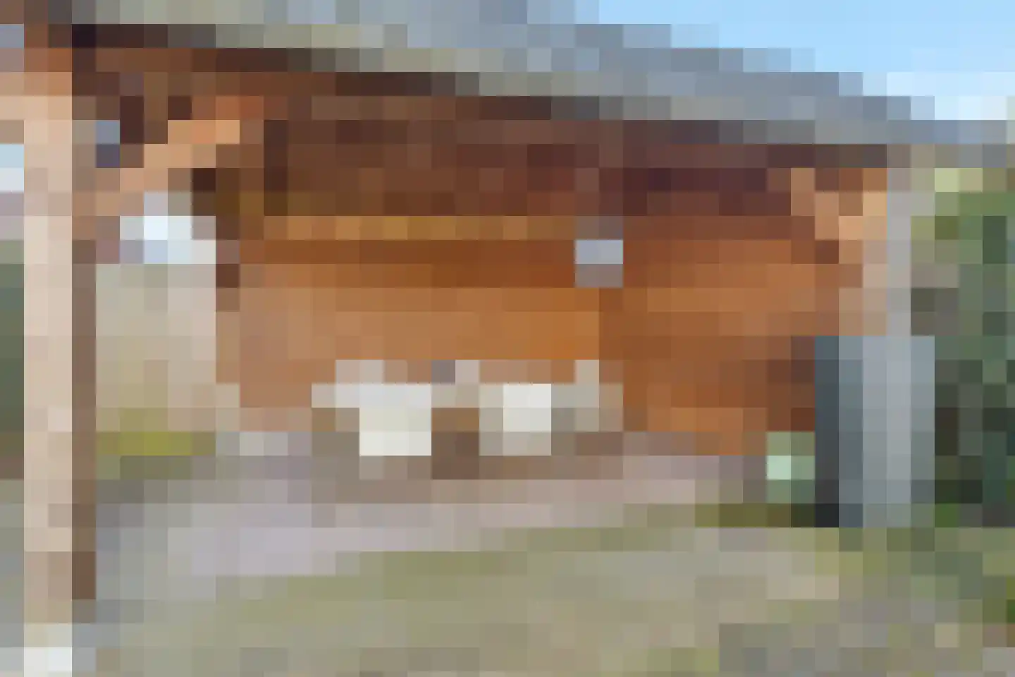 Ploeg 15 Voorthuizen thumbnail 31