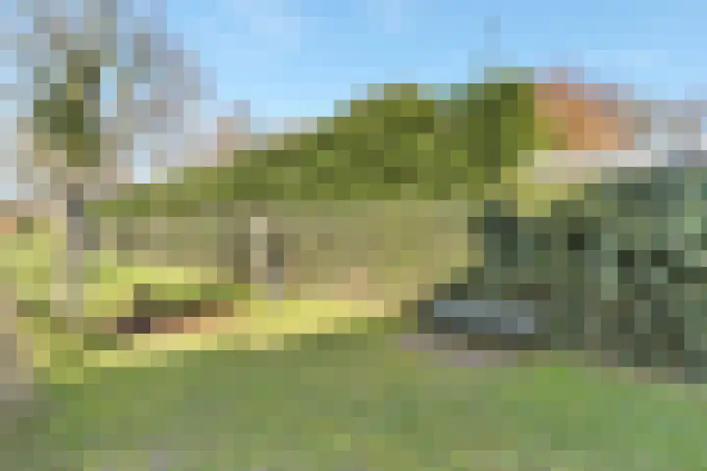 Ploeg 15 Voorthuizen thumbnail 33
