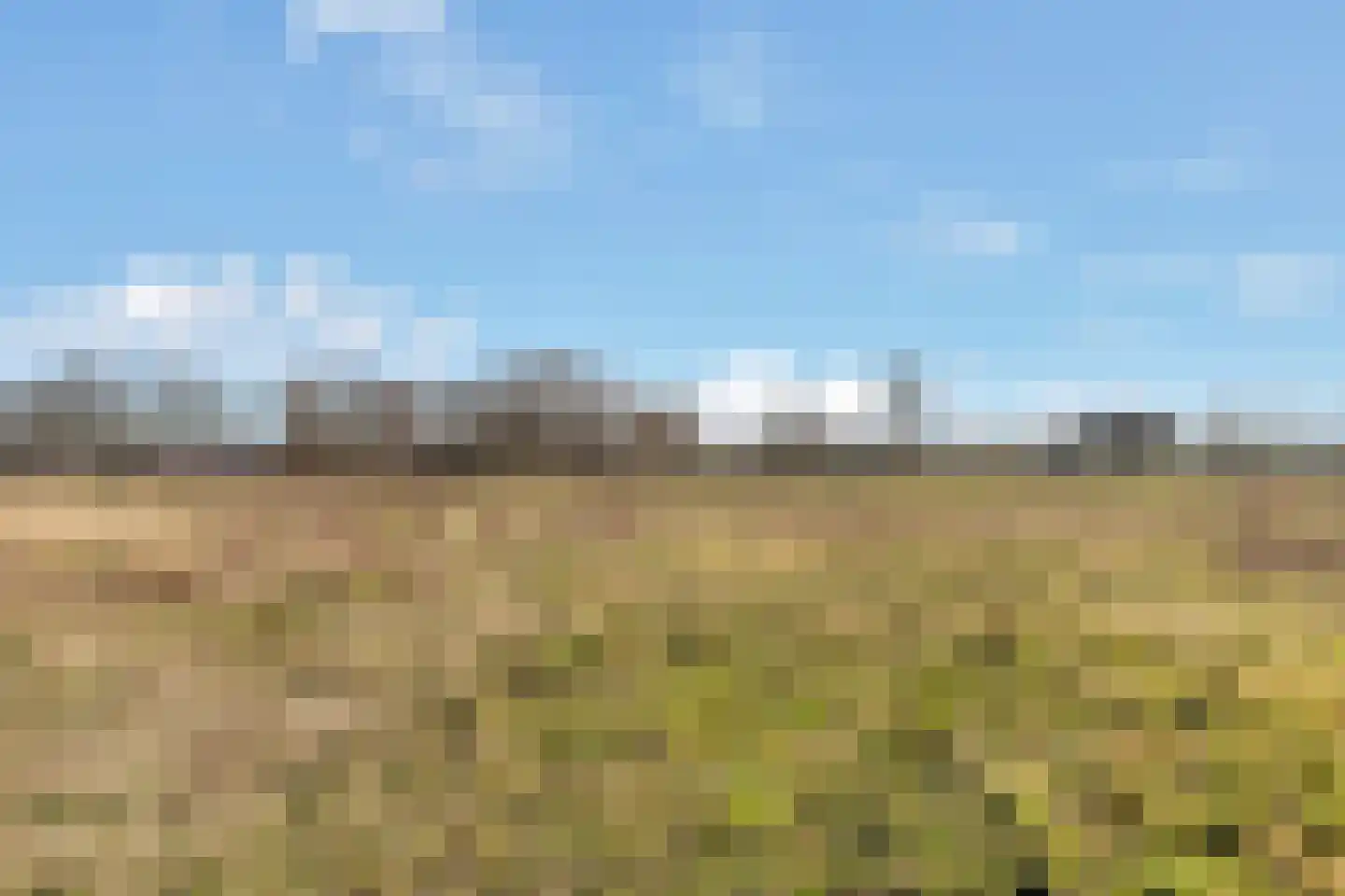 Ploeg 15 Voorthuizen thumbnail 35