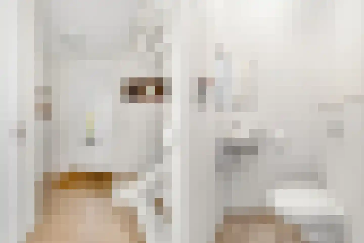 Ploeg 15 Voorthuizen thumbnail 9