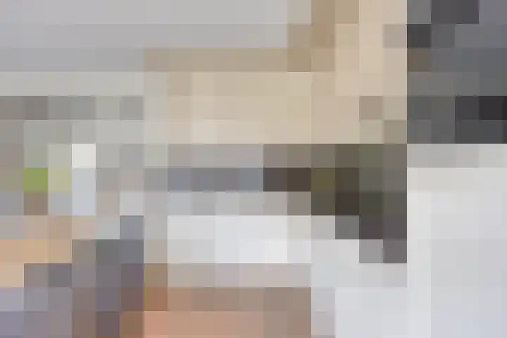 Ploeg 16 Berghem thumbnail 12