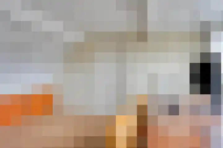 Ploeg 16 Berghem thumbnail 24