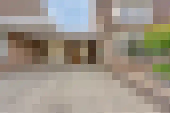 Ploeg 16 Berghem thumbnail 5