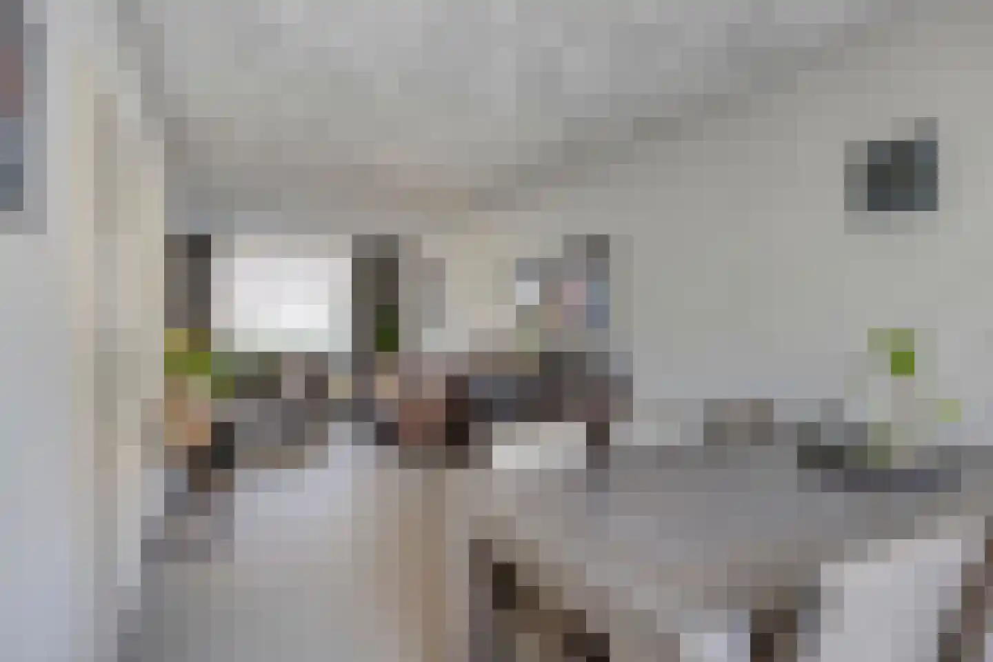 Ploeg 18 Berghem thumbnail 11