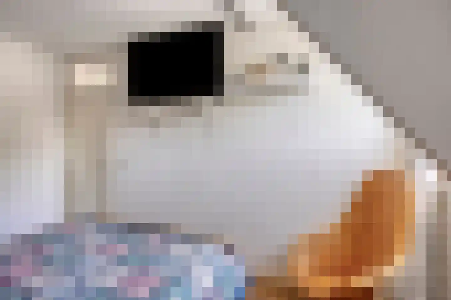 Ploeg 18 Berghem thumbnail 23
