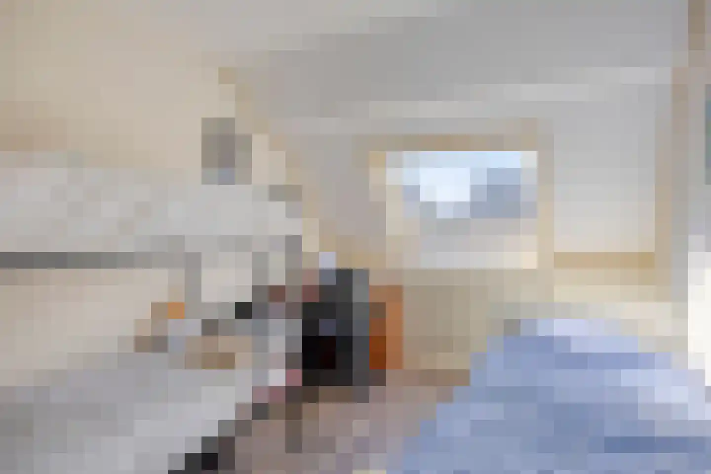 Ploeg 18 Berghem thumbnail 24