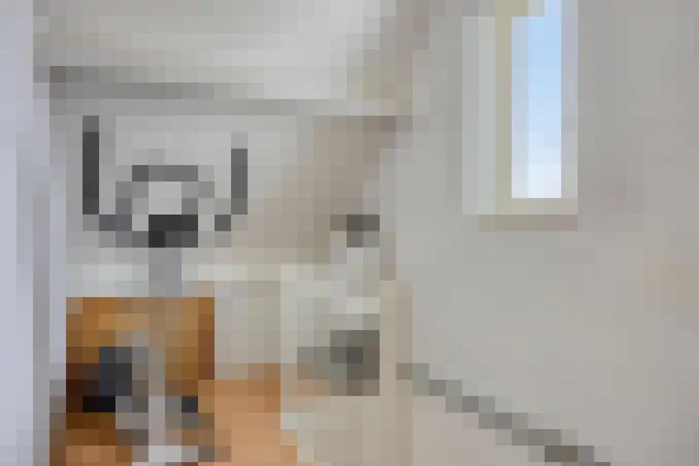 Ploeg 18 Berghem thumbnail 29