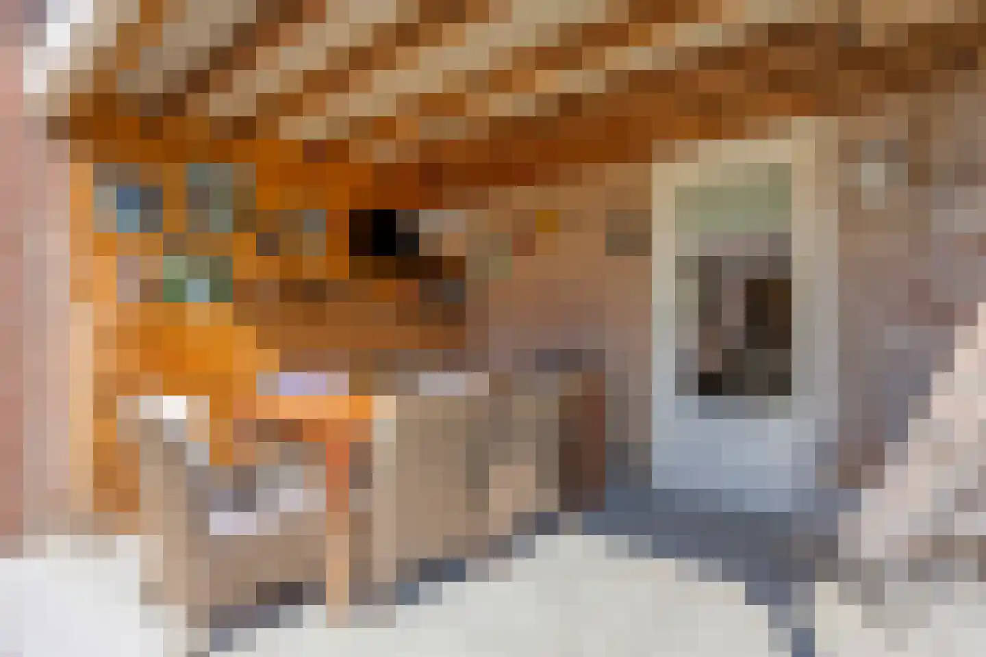 Ploeg 18 Berghem thumbnail 32