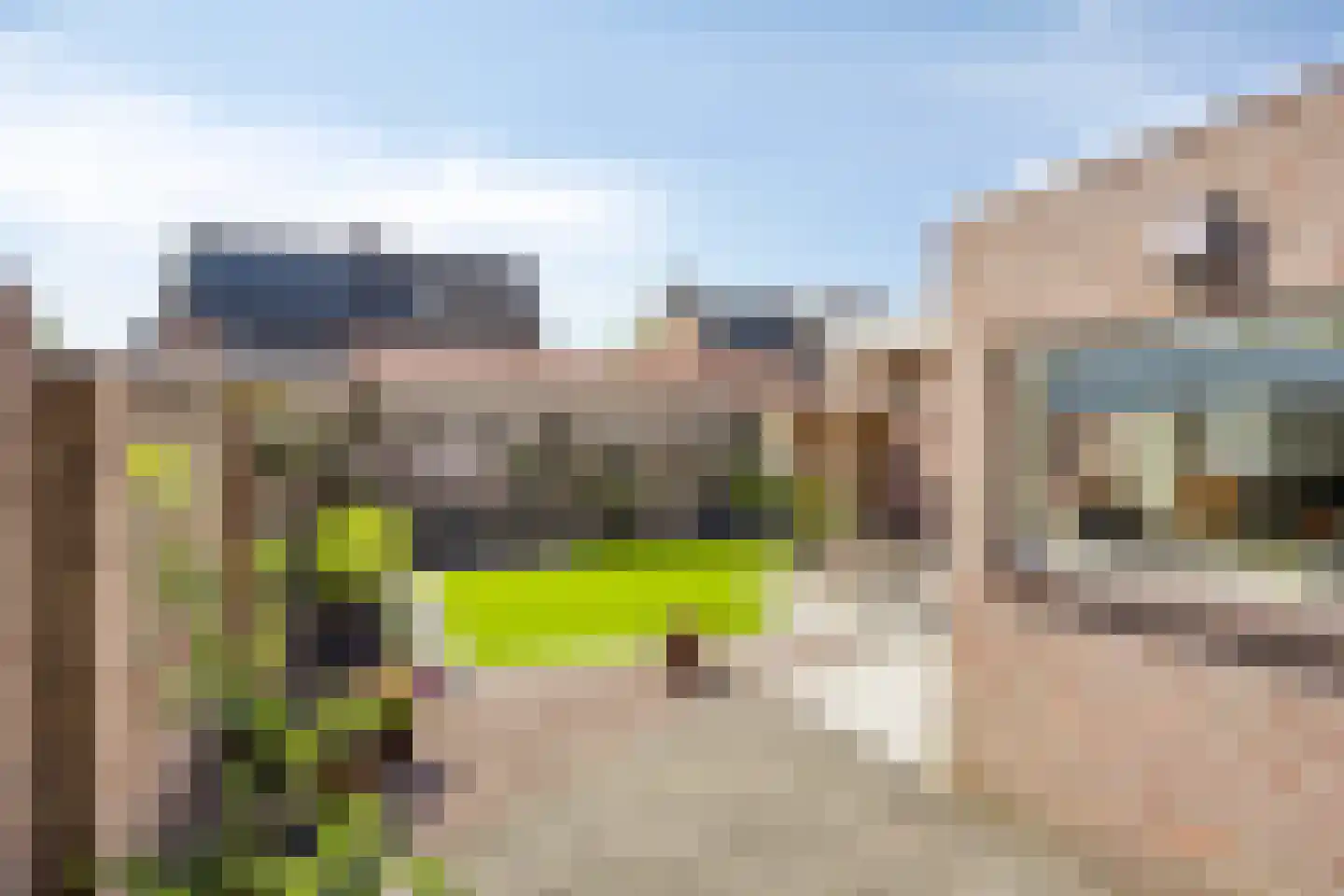Ploeg 18 Berghem thumbnail 36