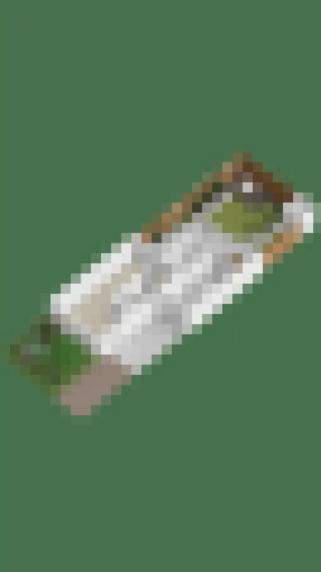 Ploeg 18 Berghem thumbnail 41