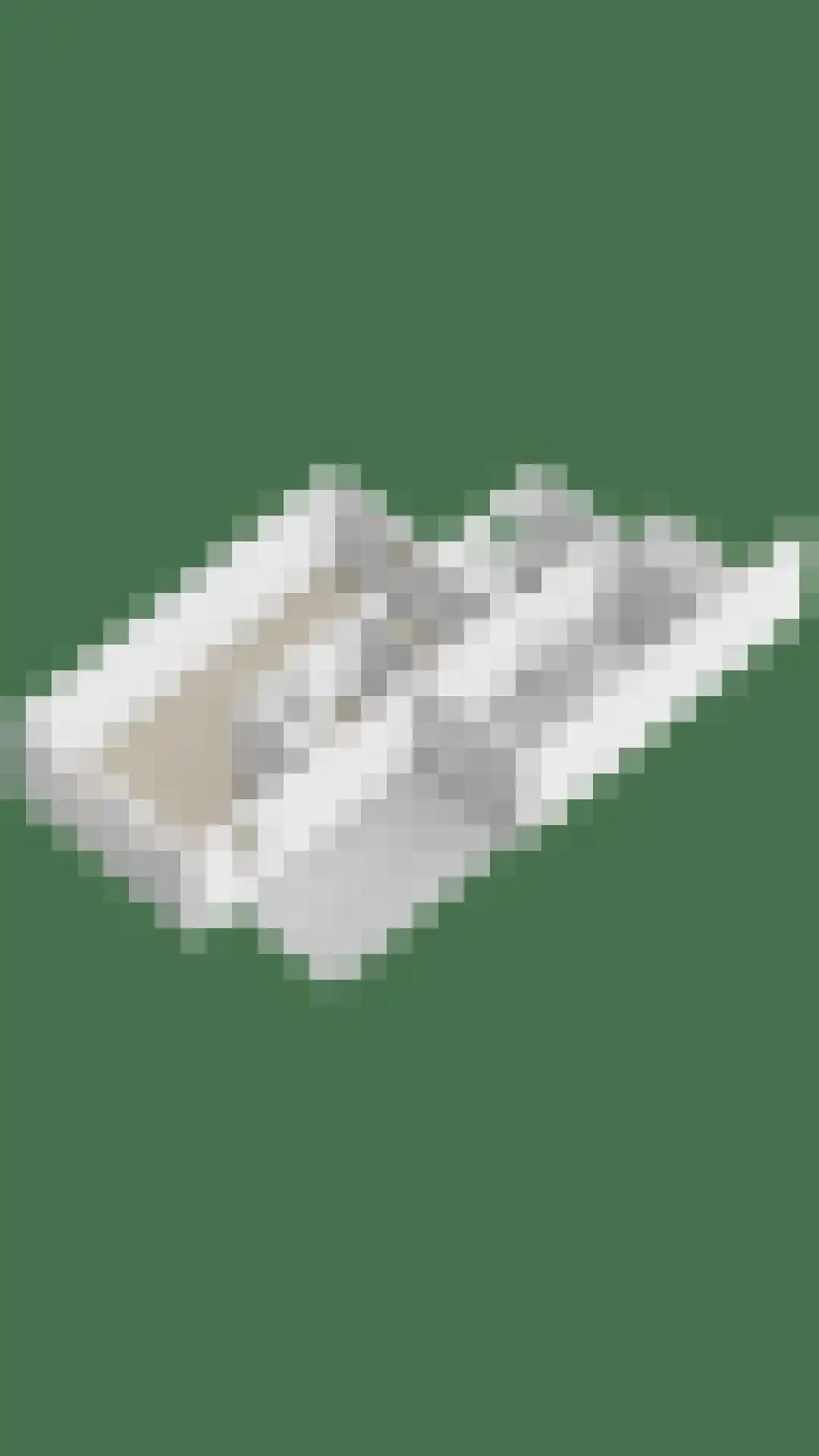 Ploeg 18 Berghem thumbnail 43