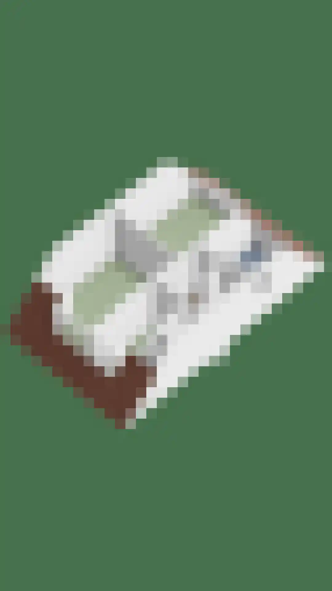 Ploeg 18 Berghem thumbnail 45