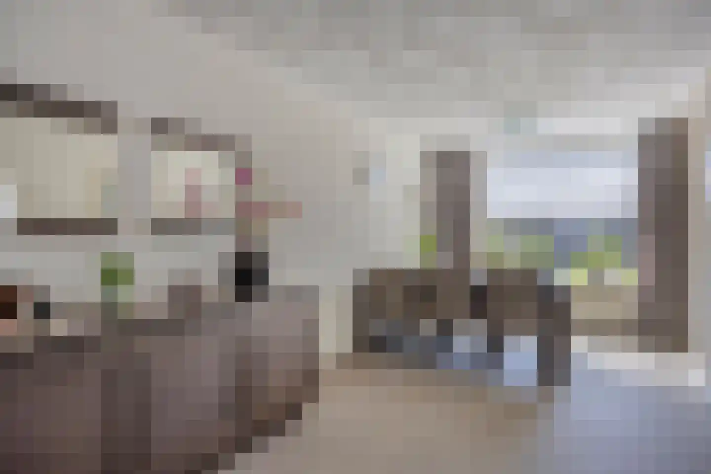 Ploeg 18 Berghem thumbnail 9