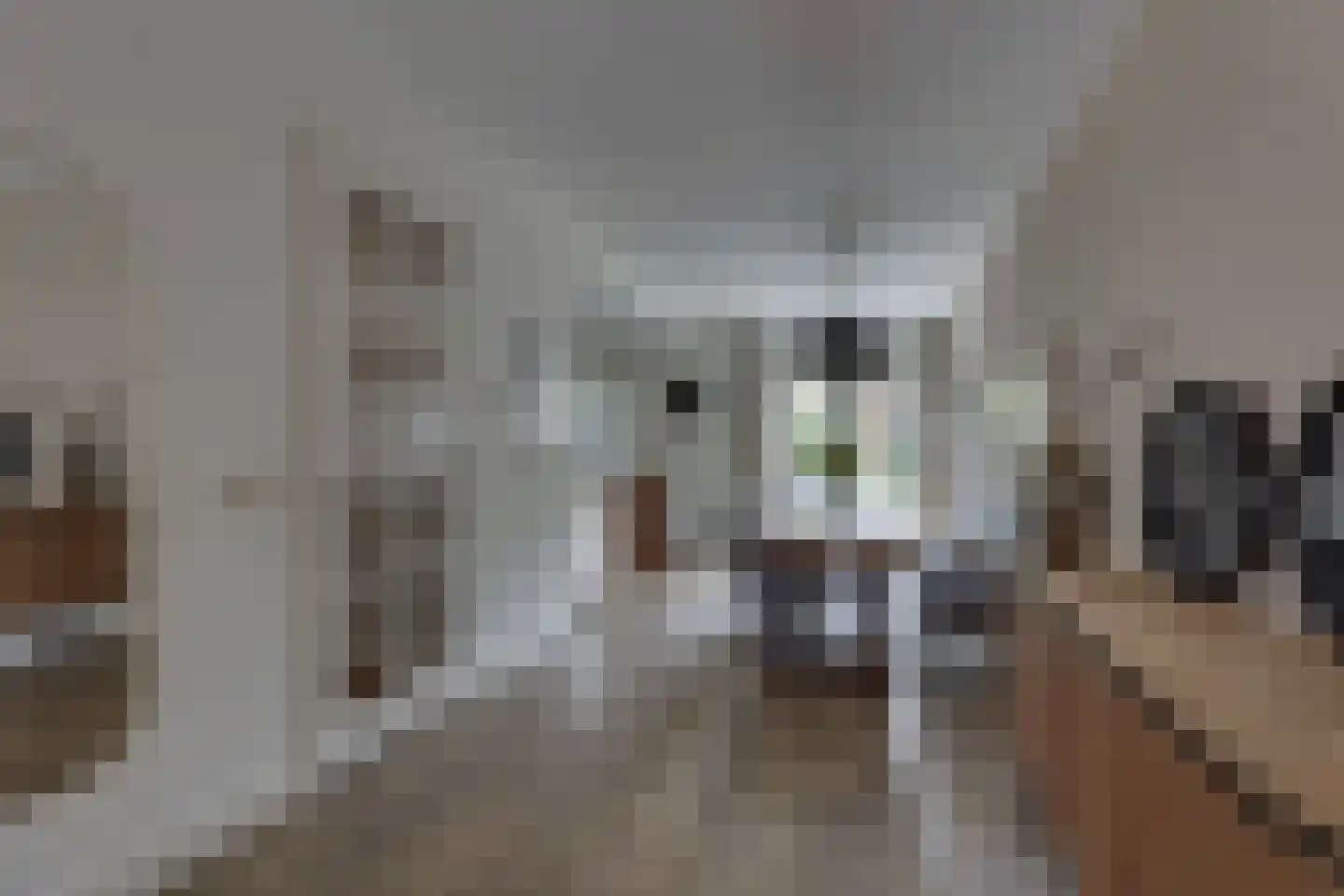 Ploeg 21 Holten thumbnail 6