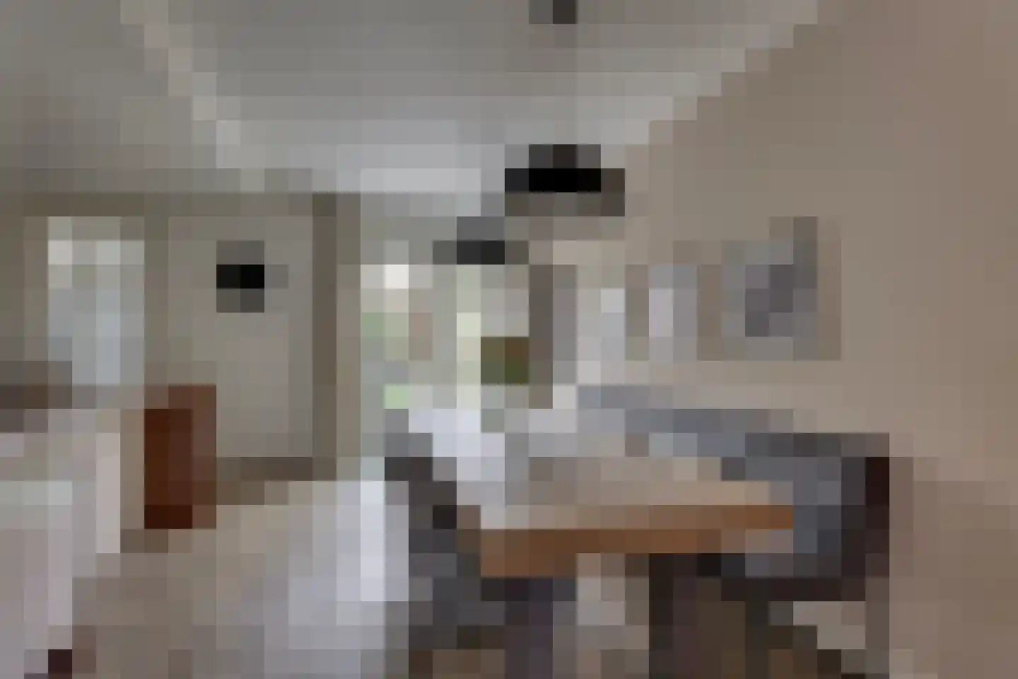 Ploeg 21 Holten thumbnail 6