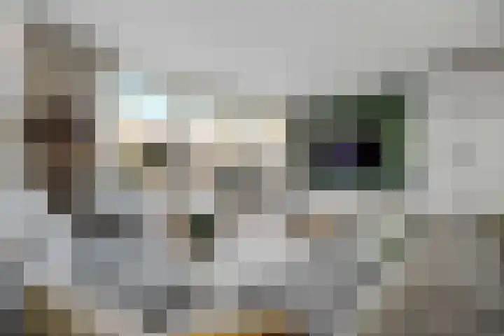 Ploeg 22 Voorthuizen thumbnail 10
