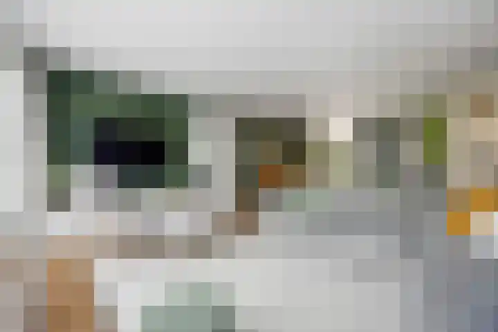 Ploeg 22 Voorthuizen thumbnail 11
