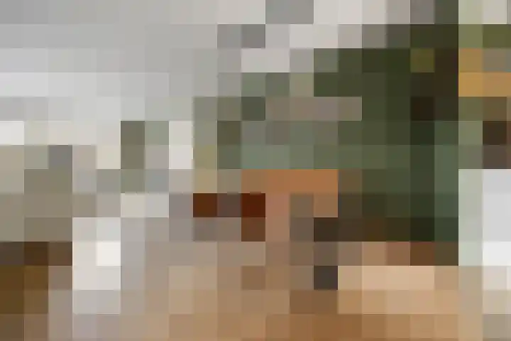 Ploeg 22 Voorthuizen thumbnail 12