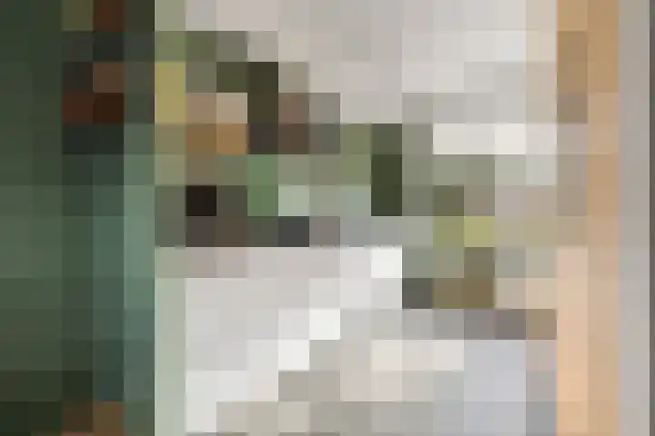 Ploeg 22 Voorthuizen thumbnail 14
