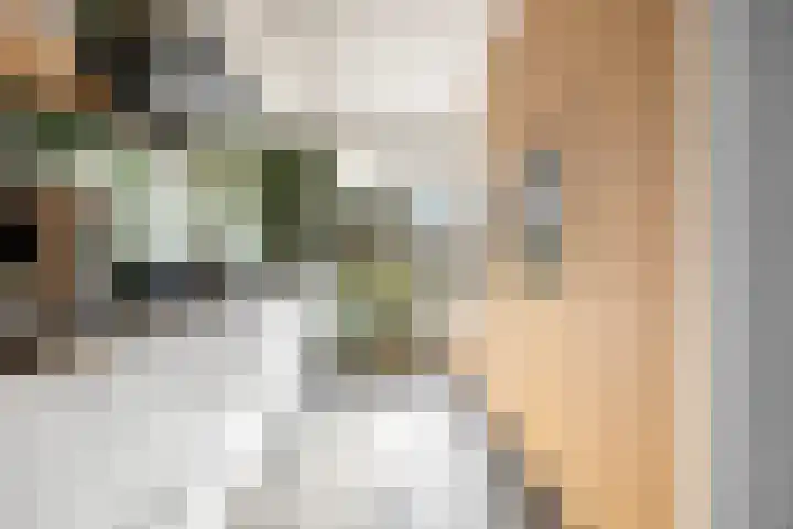 Ploeg 22 Voorthuizen thumbnail 15