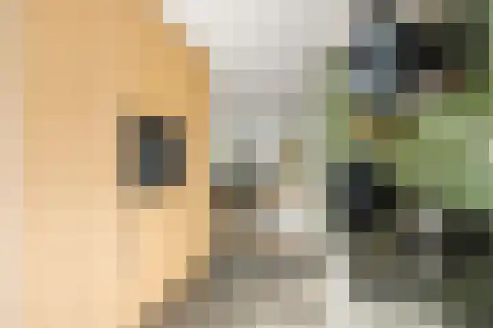 Ploeg 22 Voorthuizen thumbnail 16
