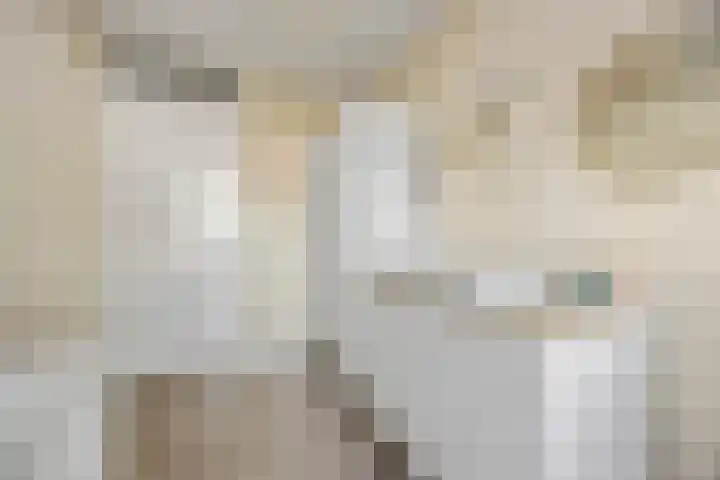 Ploeg 22 Voorthuizen thumbnail 24