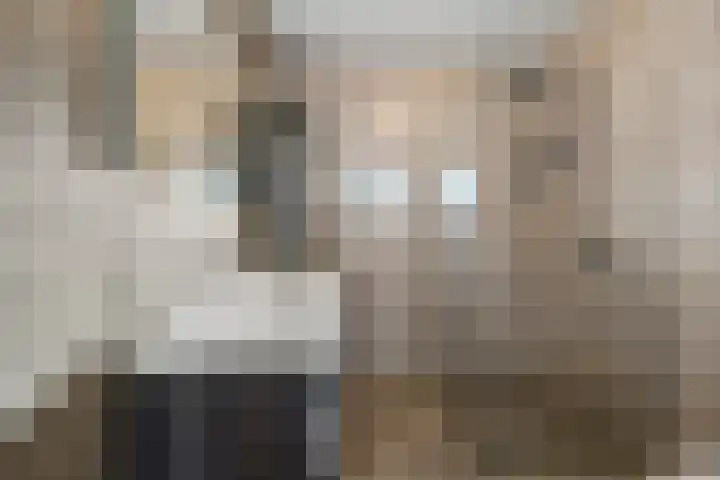 Ploeg 22 Voorthuizen thumbnail 25