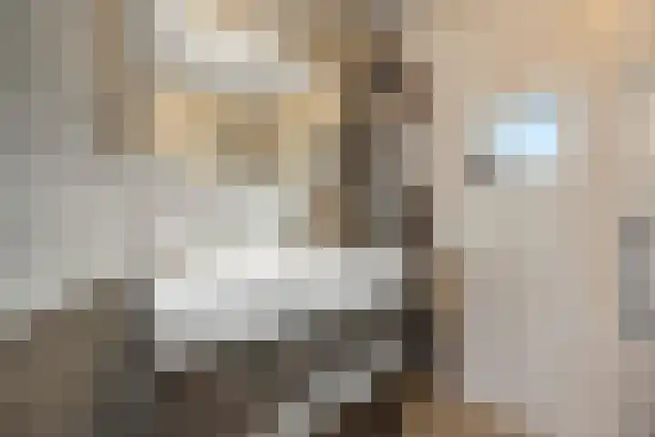Ploeg 22 Voorthuizen thumbnail 26