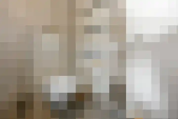Ploeg 22 Voorthuizen thumbnail 27