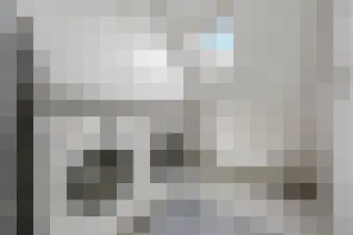 Ploeg 22 Voorthuizen thumbnail 28