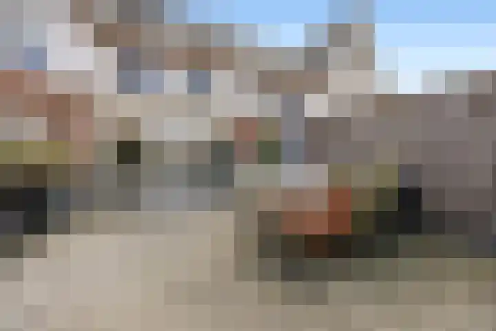 Ploeg 22 Voorthuizen thumbnail 34