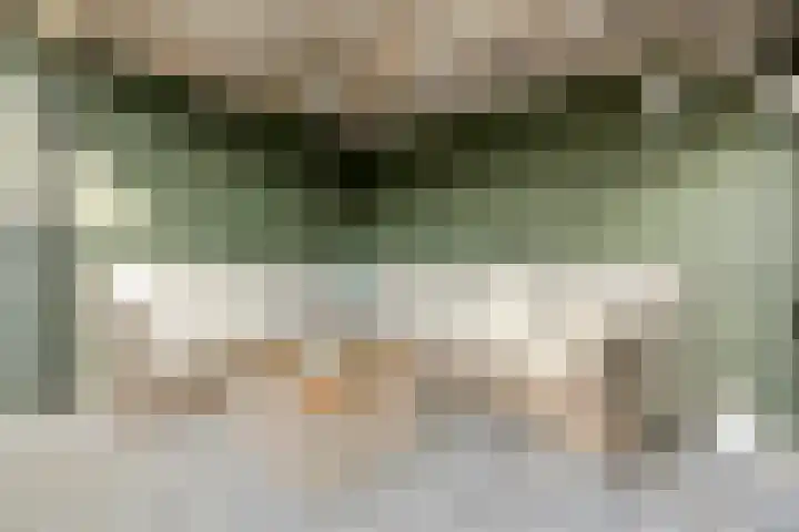 Ploeg 22 Voorthuizen thumbnail 36