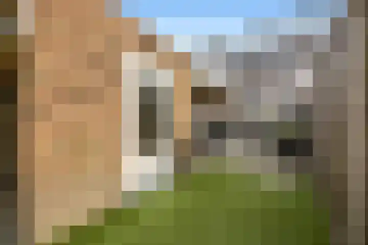 Ploeg 22 Voorthuizen thumbnail 38