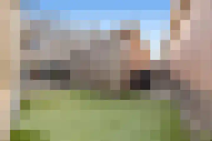 Ploeg 22 Voorthuizen thumbnail 39