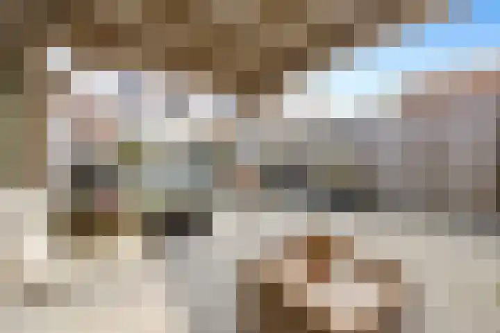 Ploeg 22 Voorthuizen thumbnail 4
