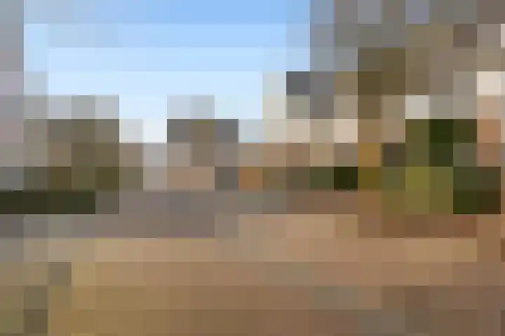 Ploeg 22 Voorthuizen thumbnail 40