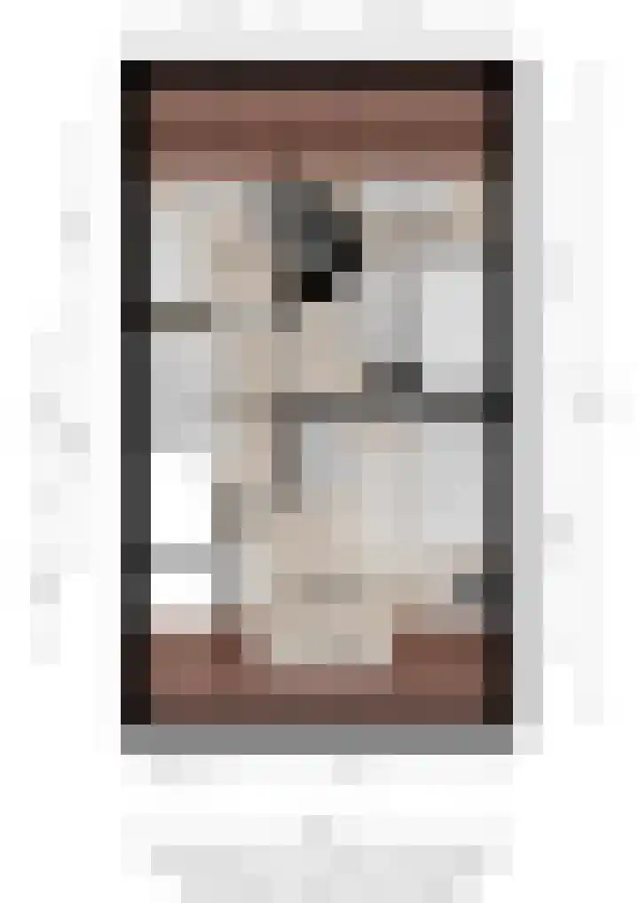 Ploeg 22 Voorthuizen thumbnail 44