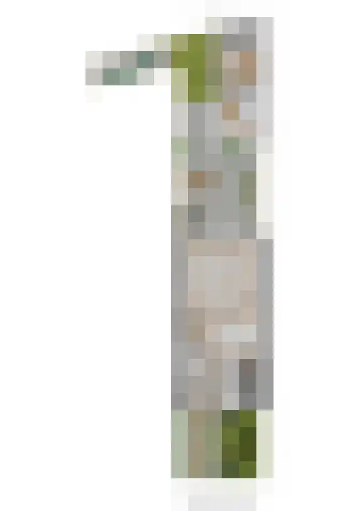 Ploeg 22 Voorthuizen thumbnail 47